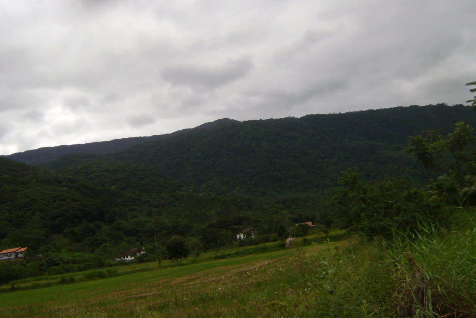 Vista de Rodeio